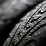 Rain in Miami: Why Formula 1 Could Even Benefit From It